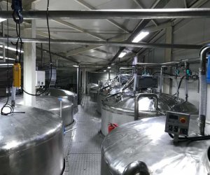 industrial agitator mixer